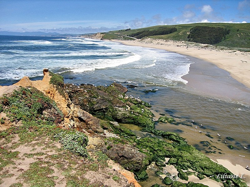 Pescadero Beach