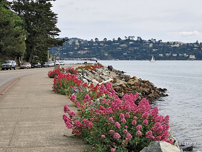 Sausalito