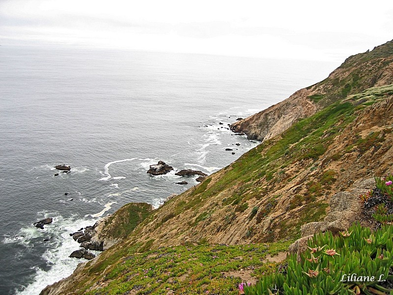 Point Reyes National Seashsore