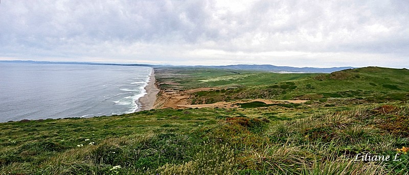 Point Reyes National Seashsore