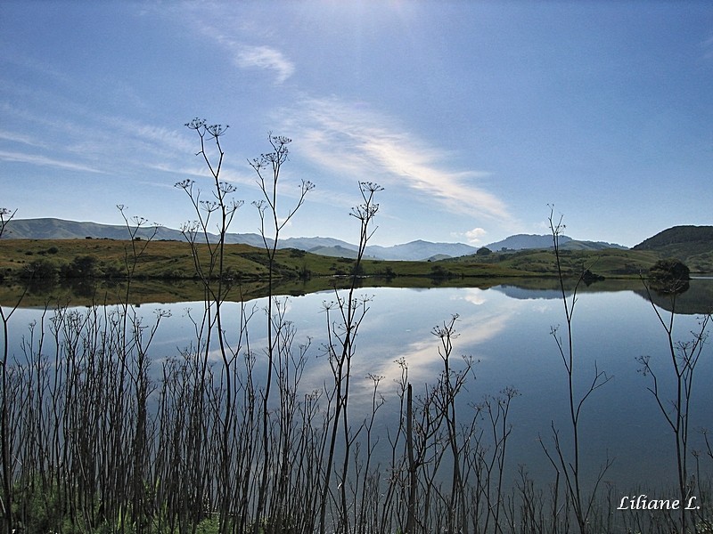 Nicasio Réservoir