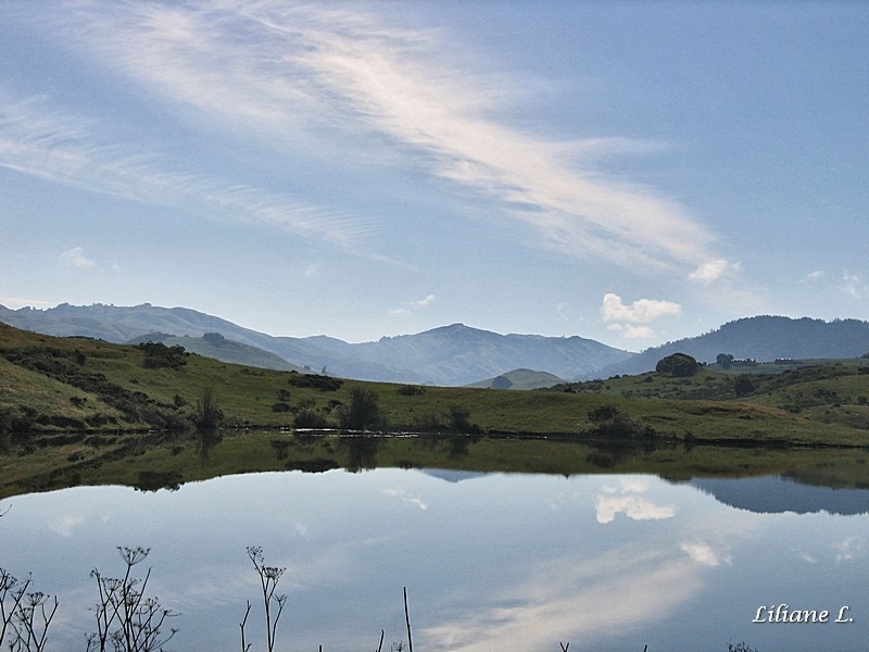 Nicasio Réservoir