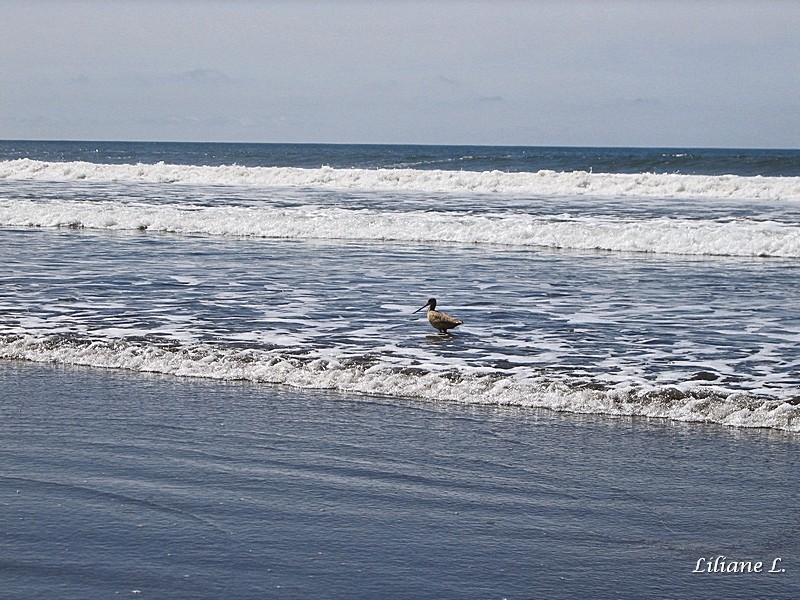 Stinson Beach