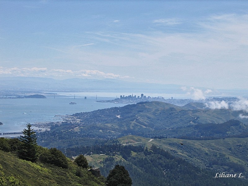 Mount Tamalpais