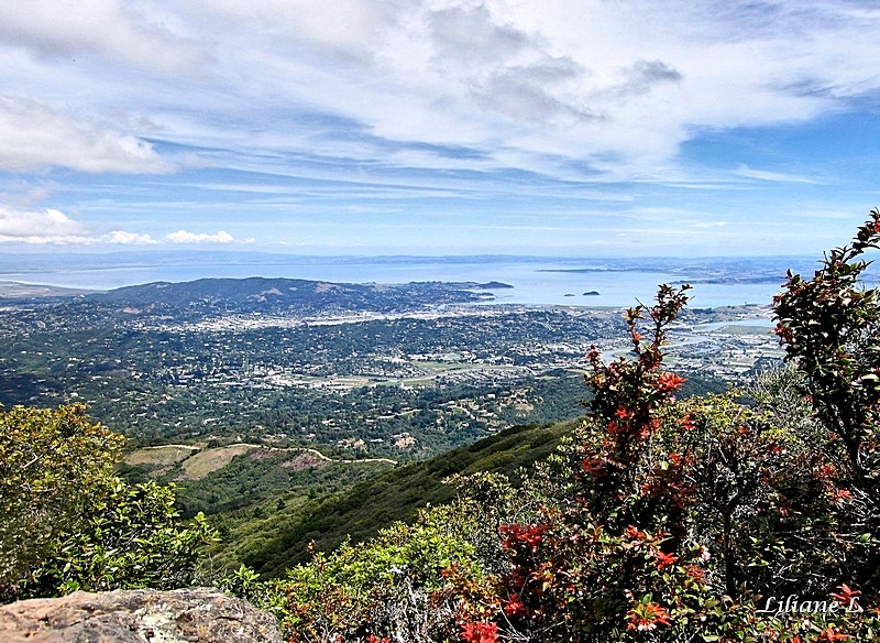 Mount Tamalpais