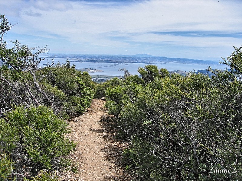 Mount Tamalpais