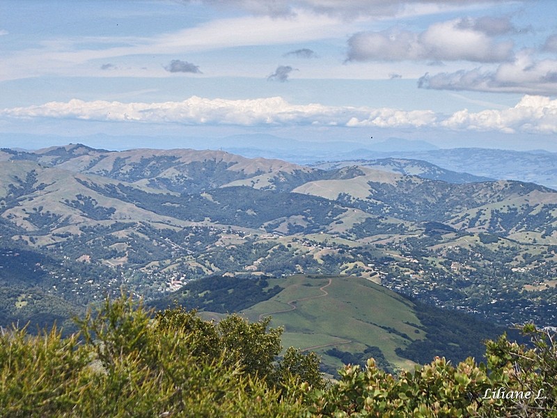 Mount Tamalpais