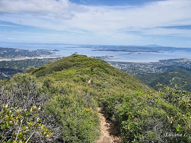 Mount Tamalpais