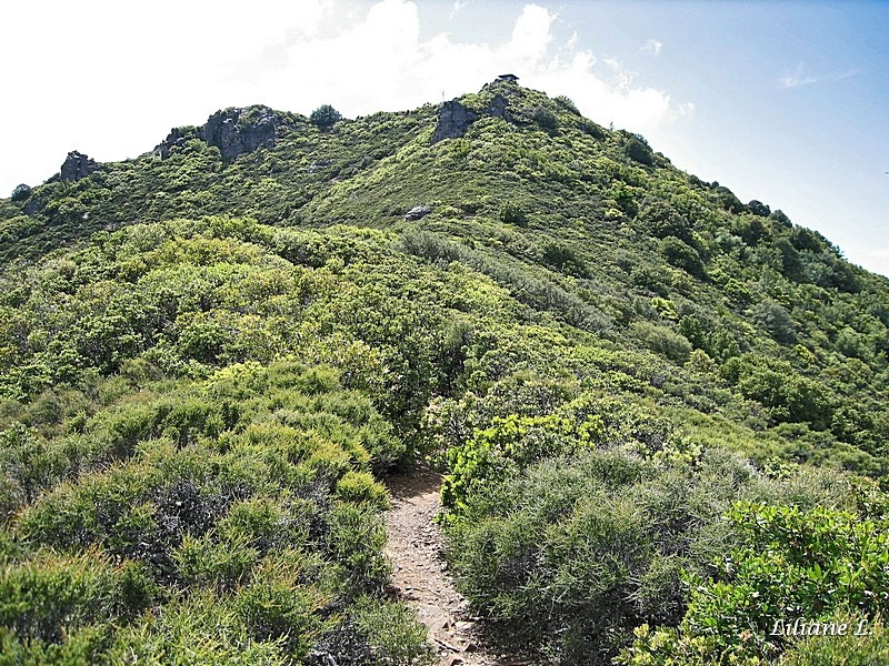 Mount Tamalpais. Tout en haut la tour de surveillance du feu à 784 m.