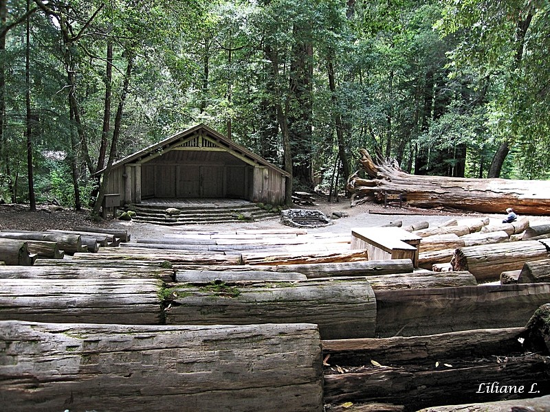 Big Basin Redwoods S.P -Camp Fire