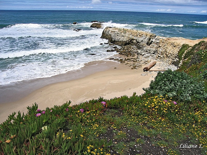 Pescadero Beach