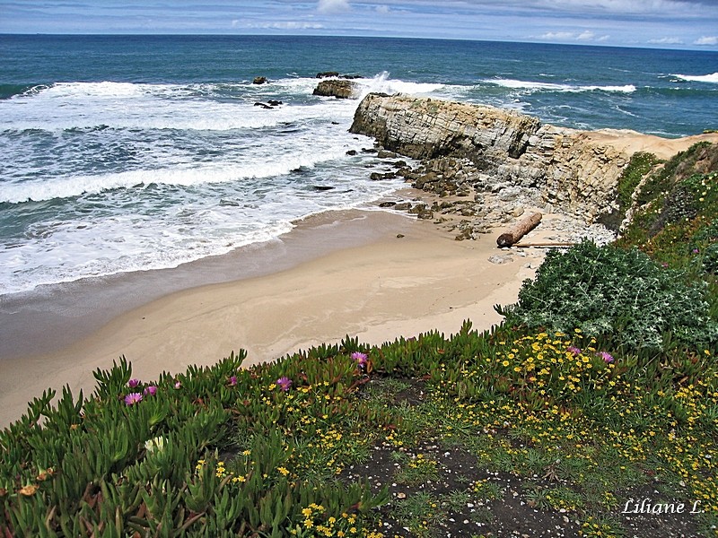 Pescadero Beach