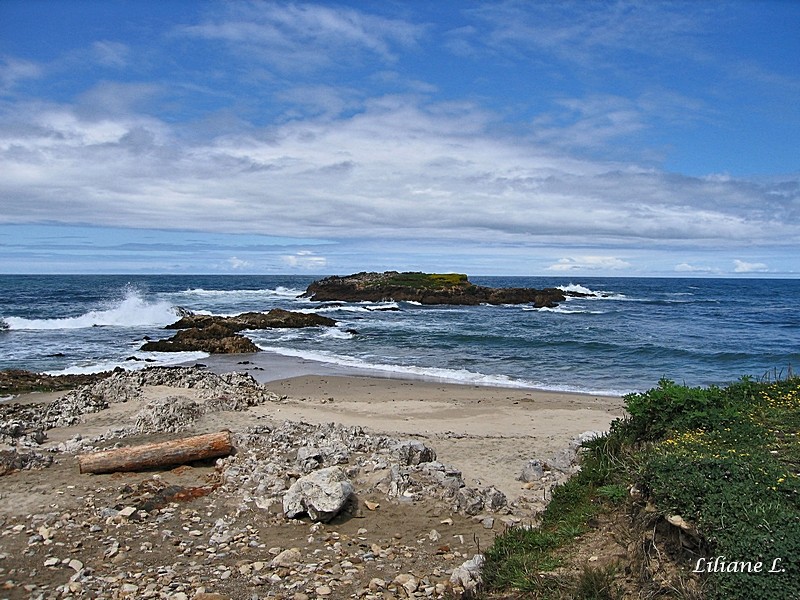 Pescadero Beach