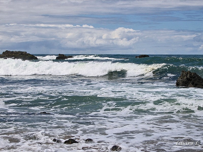 Pescadero Beach