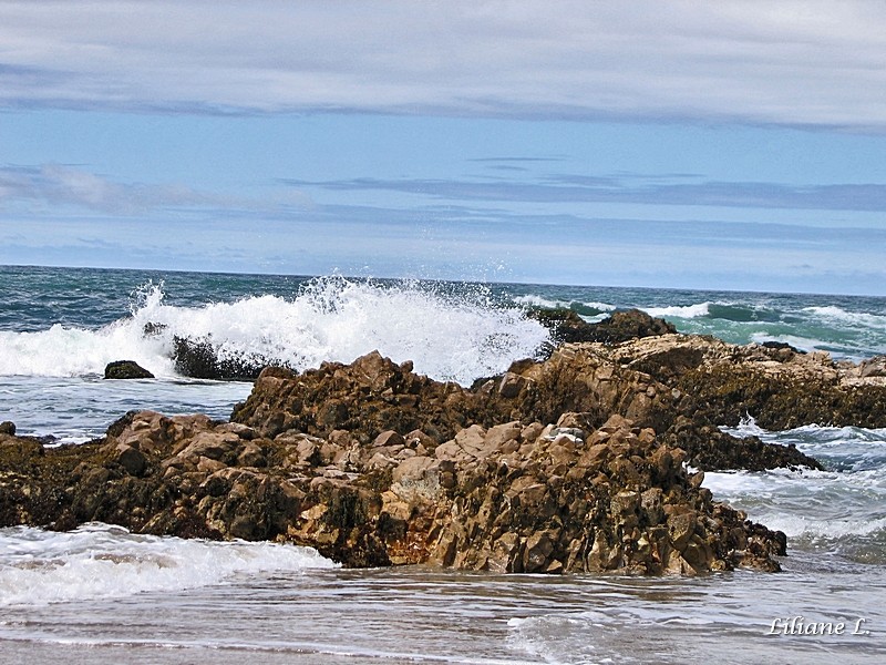 Pescadero Beach