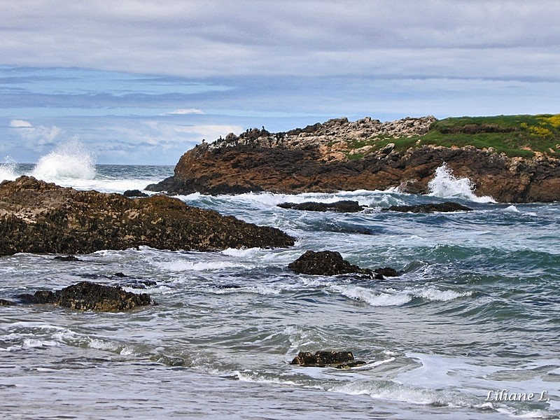 Pescadero Beach