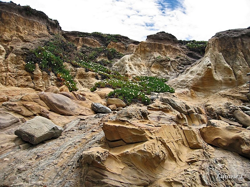 Pebble Beach