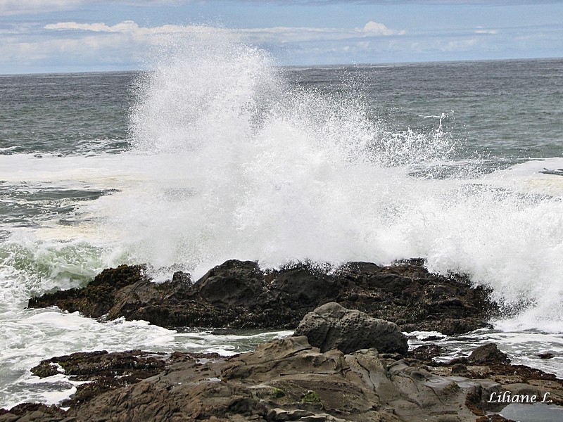 Pebble Beach