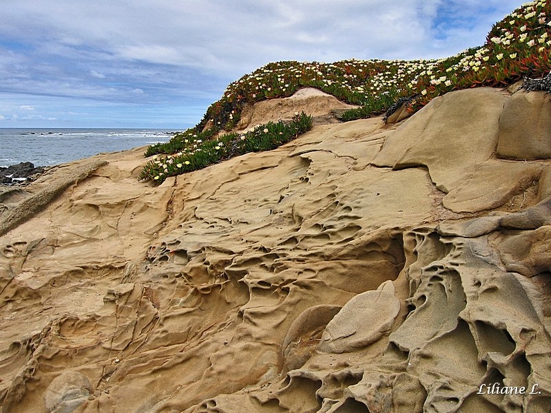 Pebble Beach