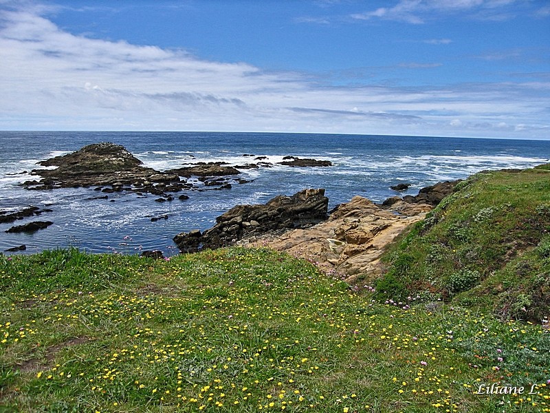 Pebble Beach