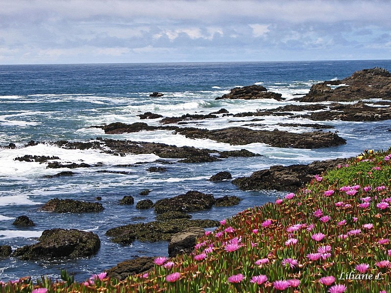 Pebble Beach