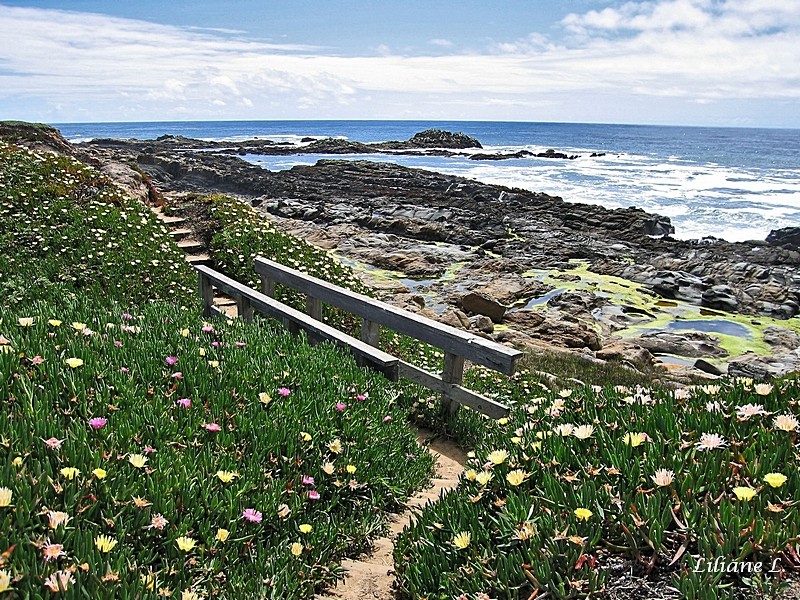 Pebble Beach