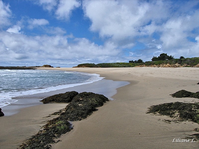 Pebble Beach