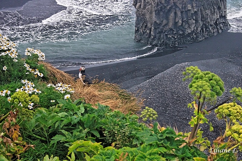 Isl-raw-327_DxO1