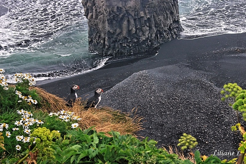 Isl-raw-331_DxO