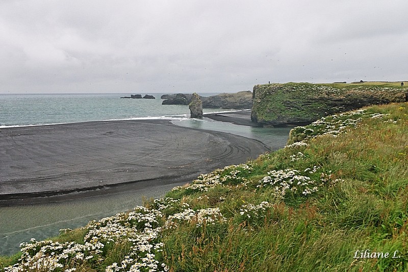 Isl-raw-339_DxO