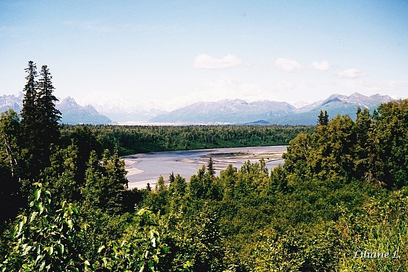 Denali N.P. South view12