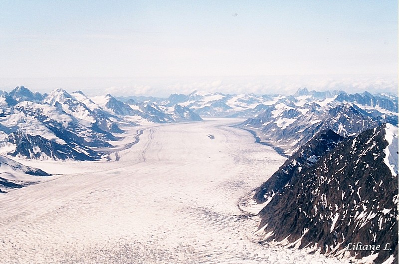 Denali N.P. les glaciers10