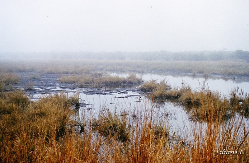 Entre Mopani et Phalaborwa2