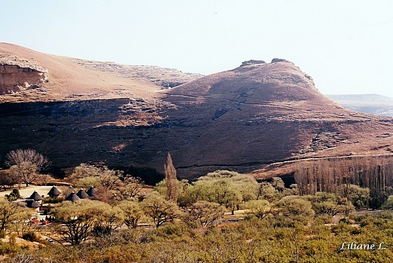 Golden Gate NP21