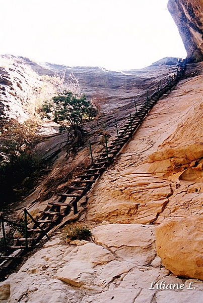 Golden Gate NP5