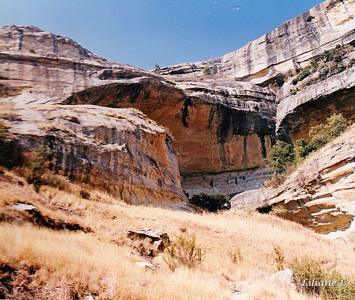 Golden Gate NP6