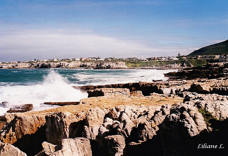 Hermanus1