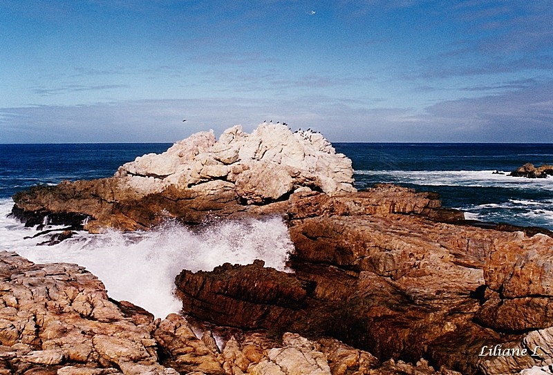 Hermanus2