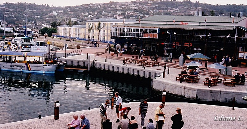 Knysna7
