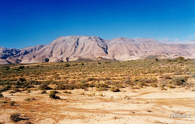 Route de Barrydale Petit Karoo