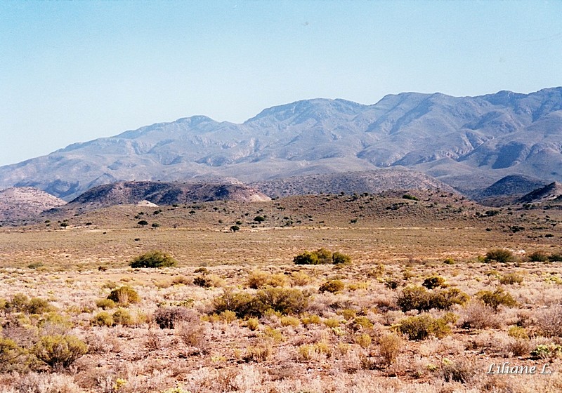 Route de Barrydale2_0001