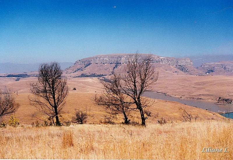 Sterkonfein Dam Nature3