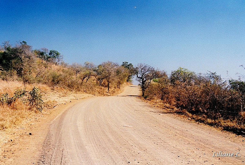 Umfolozi25