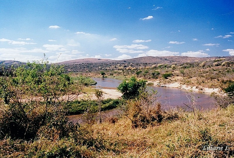 Umfolozi51