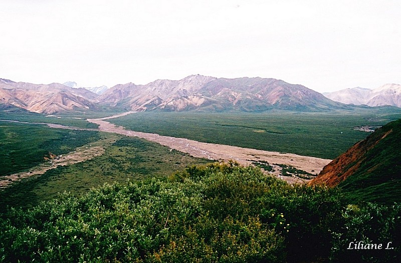 Denali NP 2