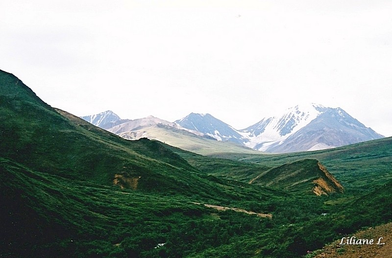 Denali NP 2_0001