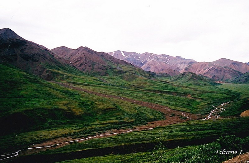 Denali NP 3_0002