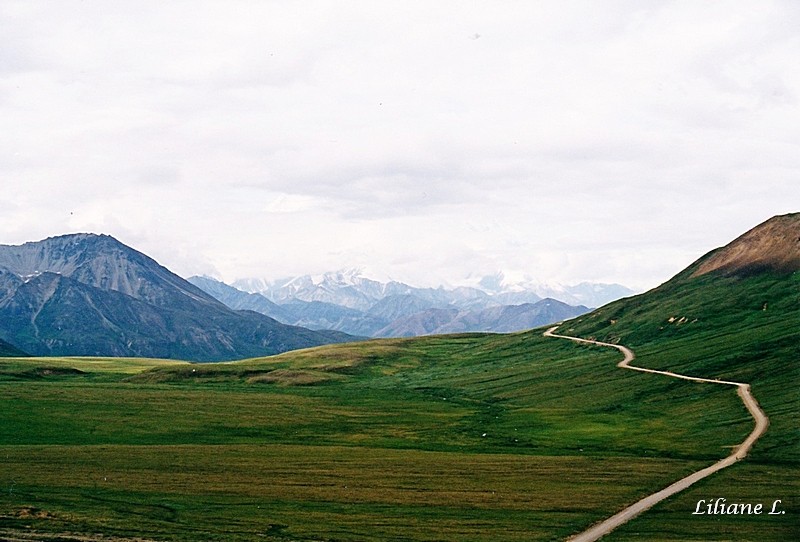 Denali NP 4