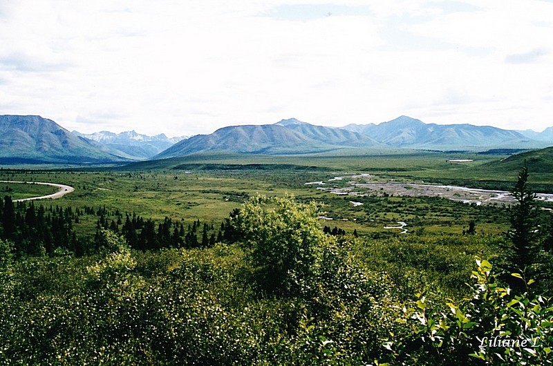 Denali NP 6