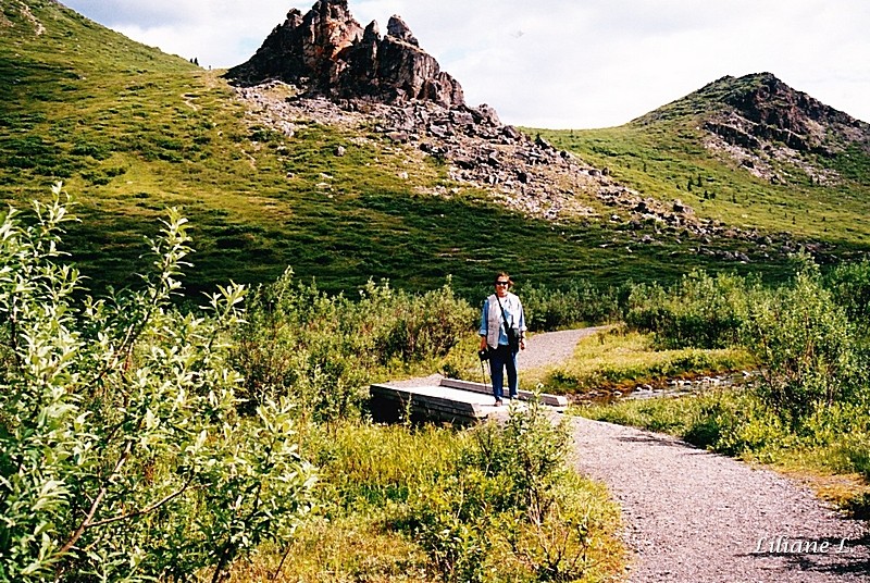 Denali NP 8